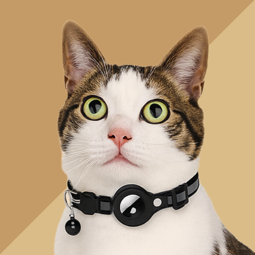 Collar Case for AirTag