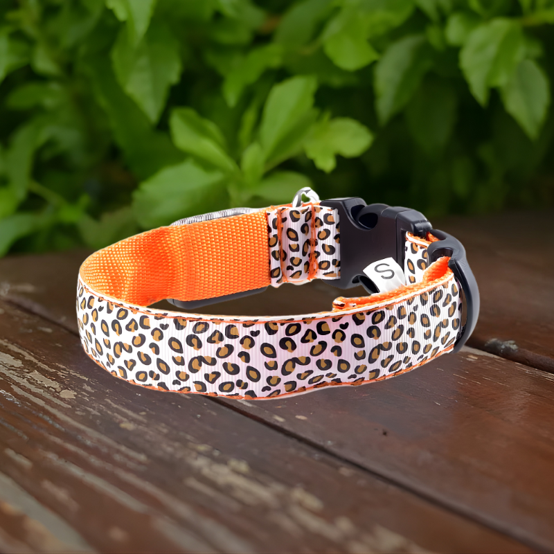 LED Leopard Collar
