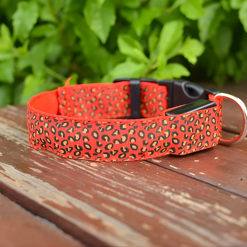 LED Leopard Collar